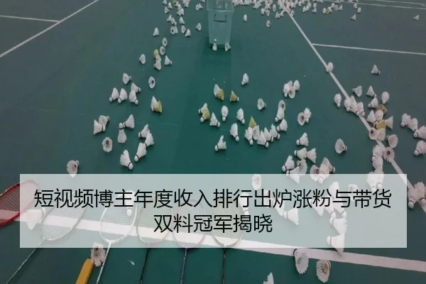 短视频博主年度收入排行出炉涨粉与带货双料冠军揭晓